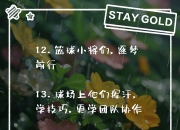 平博体育官网-篮球教练团队调整，或将对球员训练产生影响