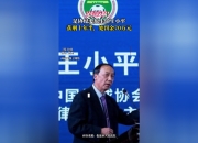 平博中国官网-中国足球|足坛反腐案18人全部获刑：陈戌源无期，李铁20年的简单介绍