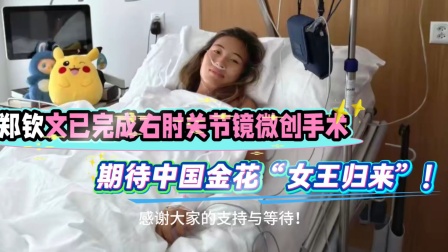 关于为了更好地归来！郑钦文接受右肘手术将伤缺一段时间的信息