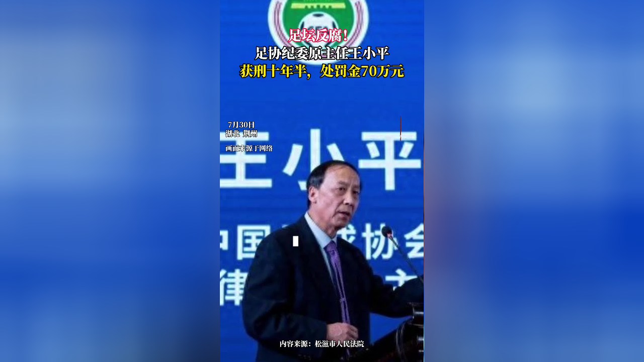 中国足球|足坛反腐案18人全部获刑：陈戌源无期，李铁20年的简单介绍