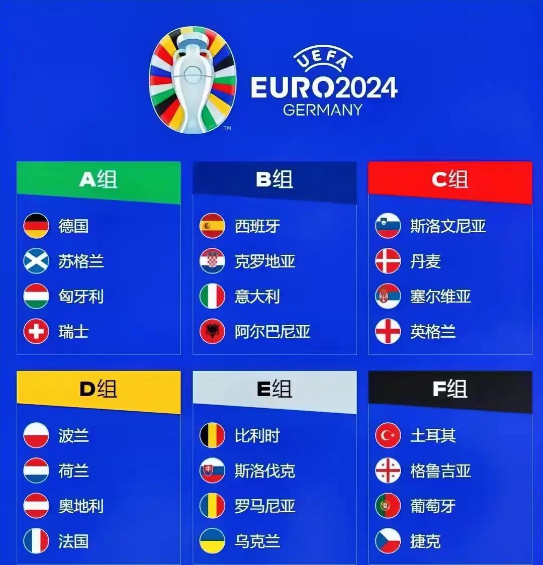 国家队战无不胜，夺得欧洲杯预选赛亚军头衔！